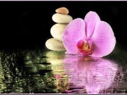 照片:  Orchidee